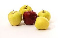 Apple Puree Apple Puree