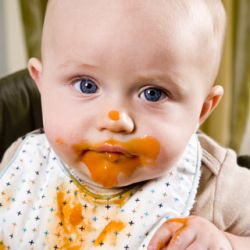 Baby Bibs Baby Bibs