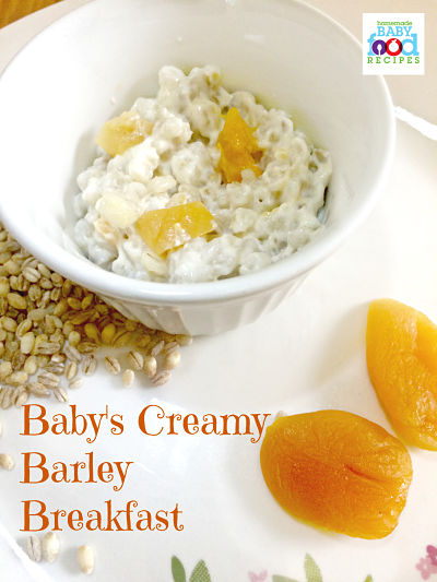 Healthy Baby Cereal Recipe