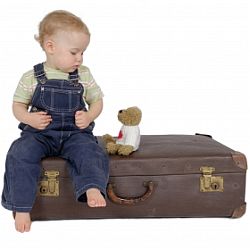 Baby Travel Accessories Baby Travel Accessories