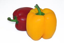 Bell Peppers for Baby Food Bell Peppers for Baby Food