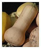 Butternut squash baby food recipes Butternut squash baby food recipes