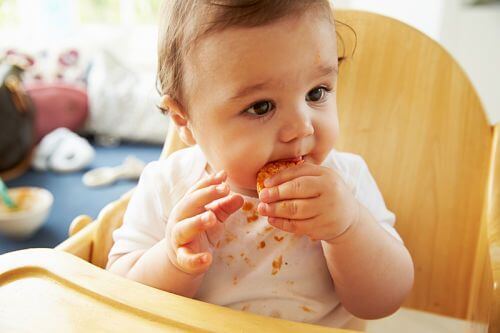 Tips for Coping with a Messy Eater