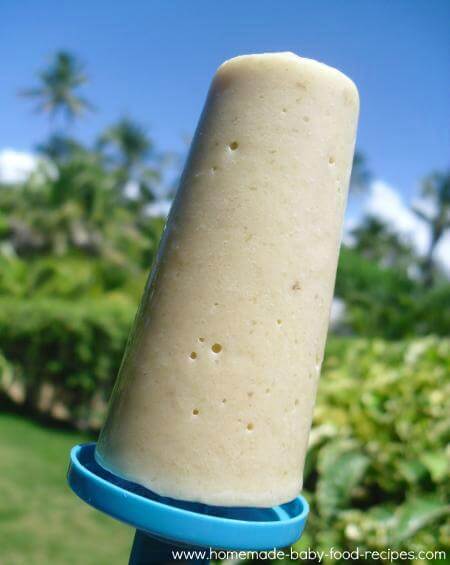 Can Babies Eat Coconut or Have Coconut Milk? Can Babies Eat Coconut or Have Coconut Milk?