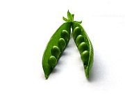 Legumes are versatile and full of protein Legumes are versatile and full of protein