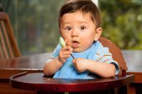 Meat Baby Food Recipes