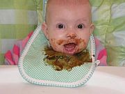 Perfect Plum Baby Food Perfect Plum Baby Food