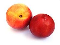 Plum Puree Plum Puree