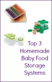 Top 3 Homemade Baby Food Storage Systems