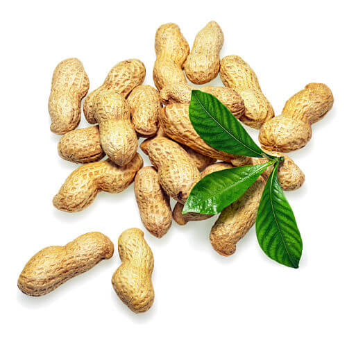 When Can Baby Eat Peanuts